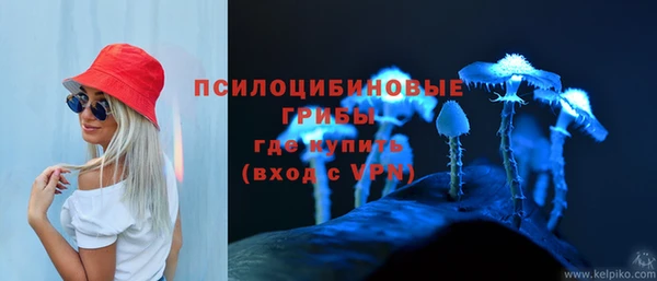 ПСИЛОЦИБИНОВЫЕ ГРИБЫ Алексин