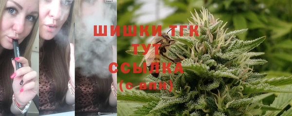ПСИЛОЦИБИНОВЫЕ ГРИБЫ Алексин