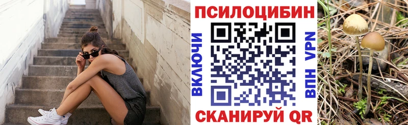 Галлюциногенные грибы Psilocybe  сколько стоит  Лаишево 